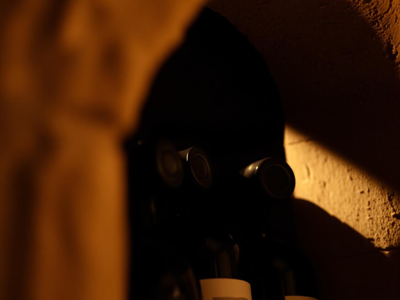 Aged bottles resting in an arched stone wine cellar nook